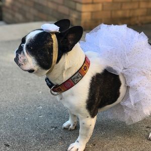 Meet your Posher, Lexi